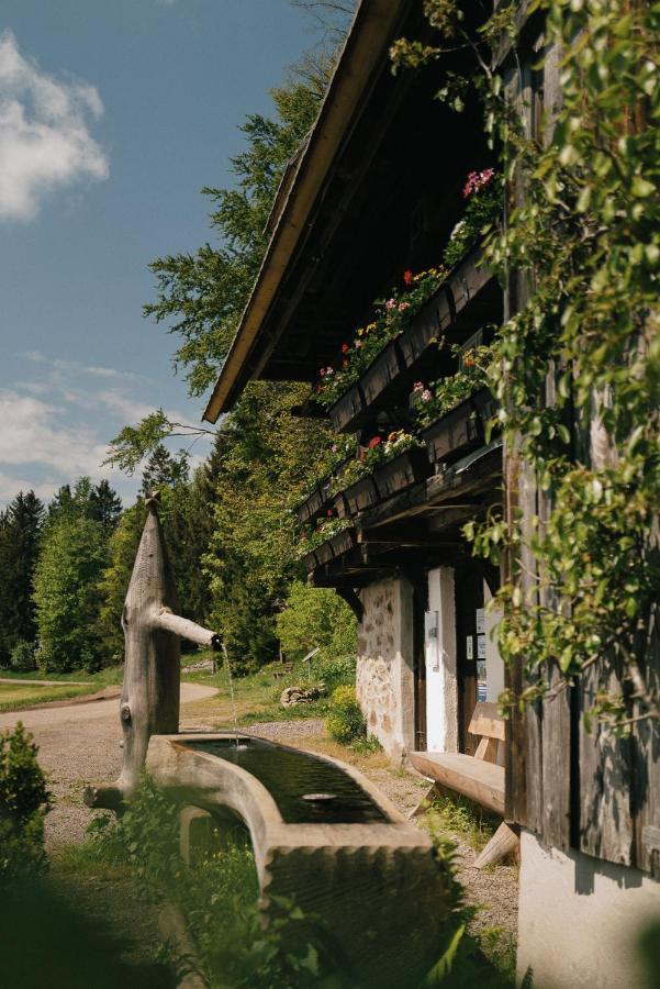 Hotel Der Hirschen Sankt Märgen Exteriér fotografie